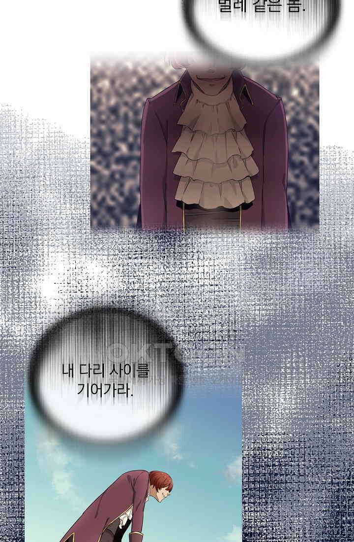 눌리타스: 절반의 백작 영애 157화 9