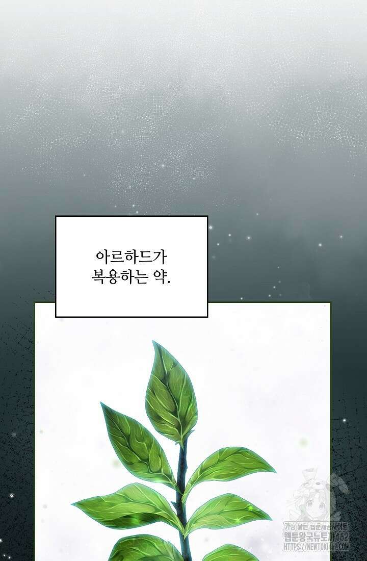 아도니스 266화 8