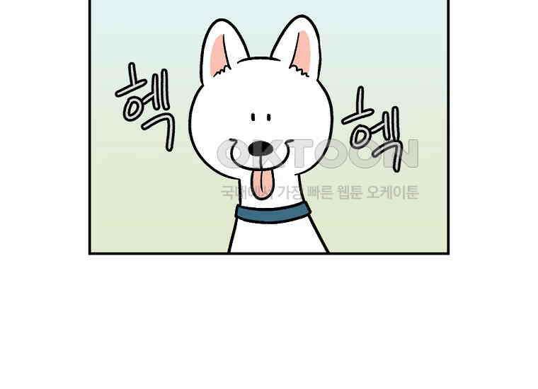 극한견주 시즌2 4화 셀프 미용 5