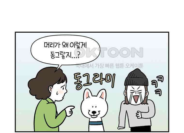 극한견주 시즌2 4화 셀프 미용 7
