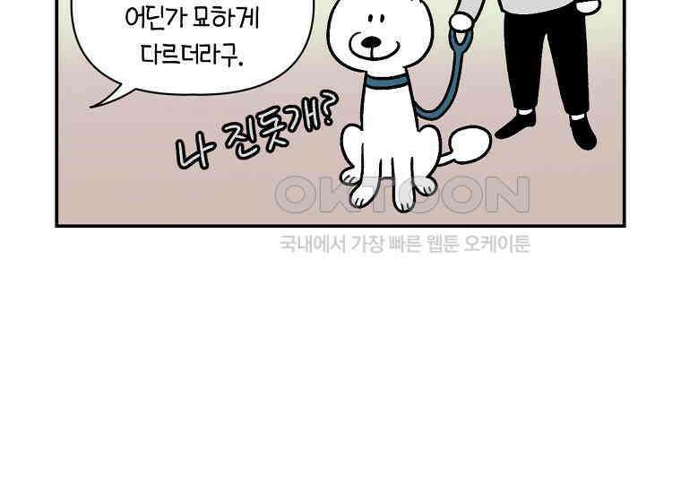 극한견주 시즌2 4화 셀프 미용 9