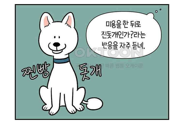 극한견주 시즌2 4화 셀프 미용 10