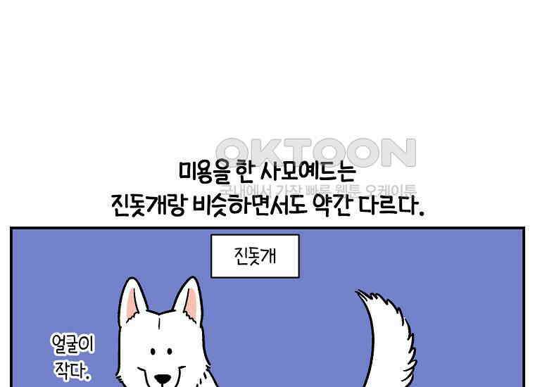 극한견주 시즌2 4화 셀프 미용 11