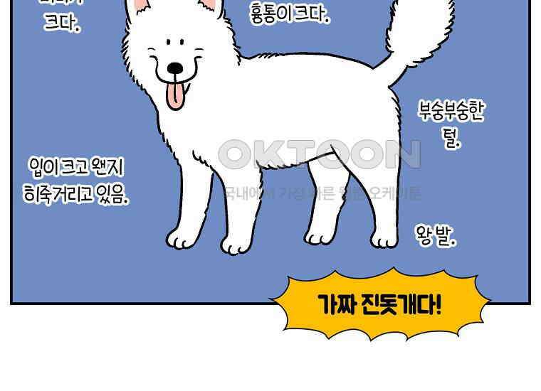 극한견주 시즌2 4화 셀프 미용 13