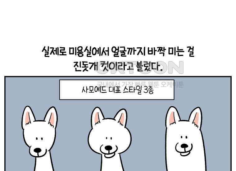 극한견주 시즌2 4화 셀프 미용 14