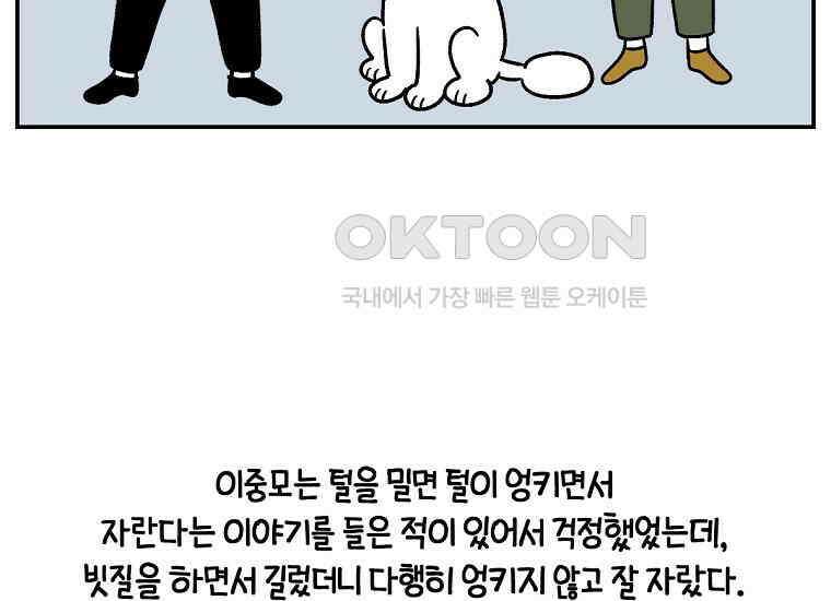 극한견주 시즌2 4화 셀프 미용 17