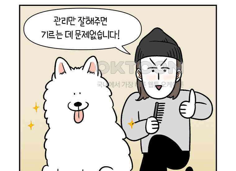 극한견주 시즌2 4화 셀프 미용 18