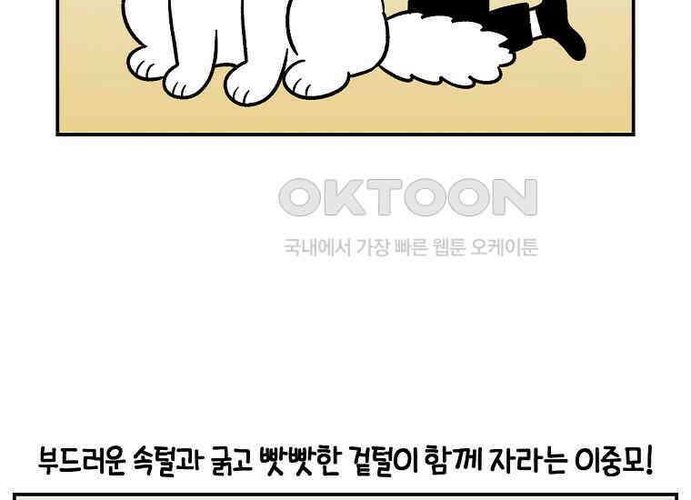 극한견주 시즌2 4화 셀프 미용 19