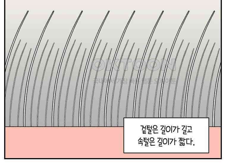 극한견주 시즌2 4화 셀프 미용 20