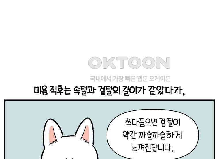 극한견주 시즌2 4화 셀프 미용 21