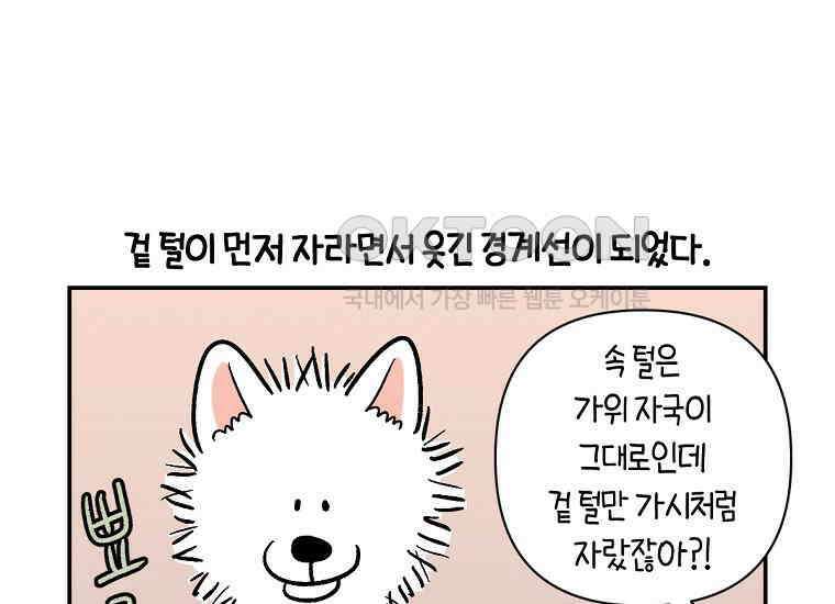극한견주 시즌2 4화 셀프 미용 23