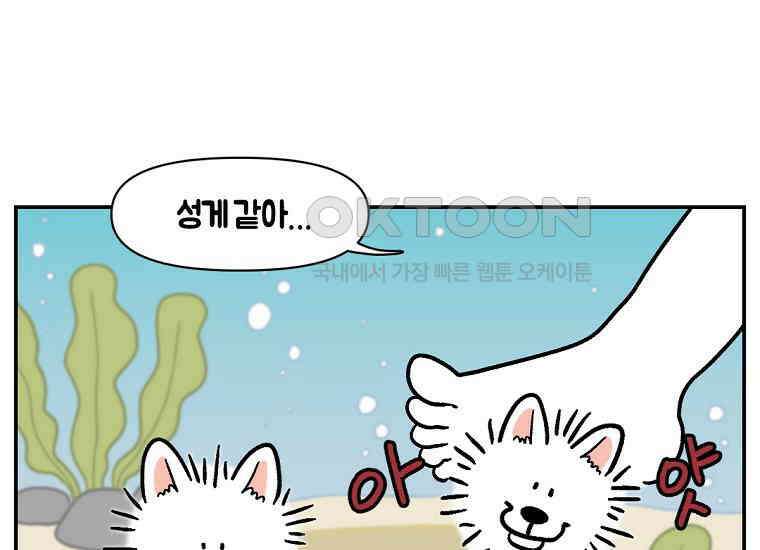 극한견주 시즌2 4화 셀프 미용 25