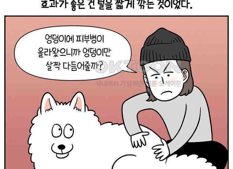 극한견주 시즌2 4화 셀프 미용 31