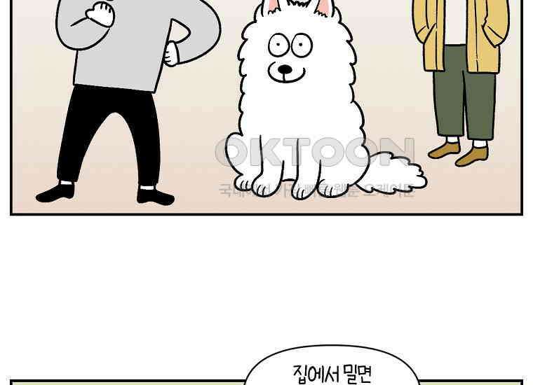 극한견주 시즌2 4화 셀프 미용 35