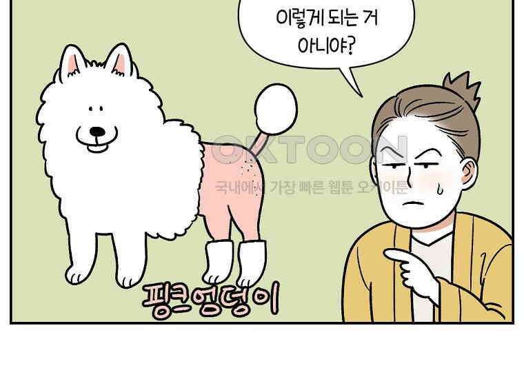 극한견주 시즌2 4화 셀프 미용 36