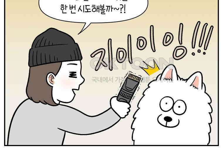 극한견주 시즌2 4화 셀프 미용 39