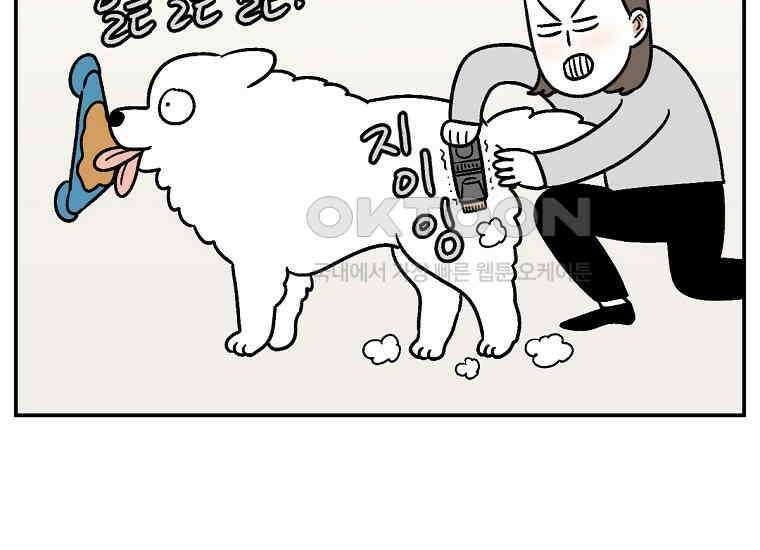극한견주 시즌2 4화 셀프 미용 46