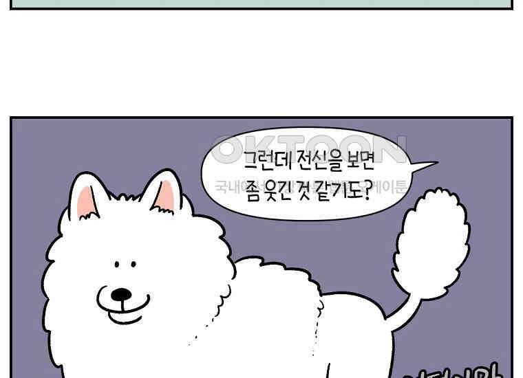 극한견주 시즌2 4화 셀프 미용 52