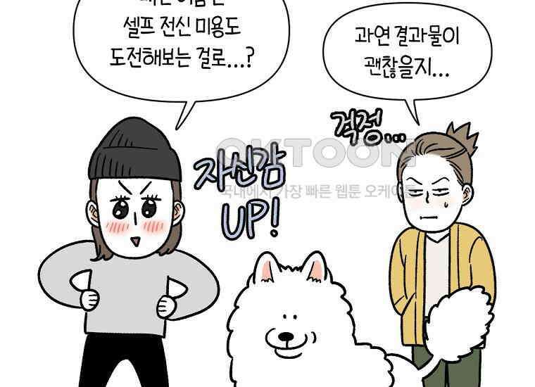 극한견주 시즌2 4화 셀프 미용 56