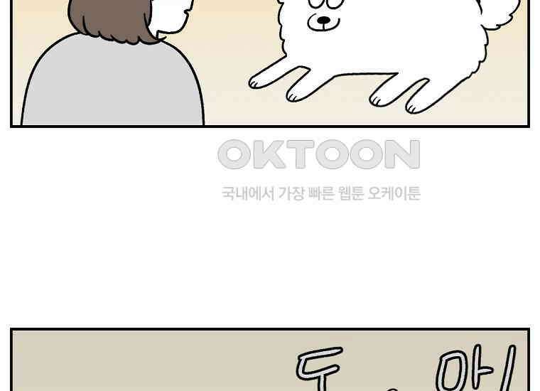 극한견주 시즌2 10화 나이트 루틴 8
