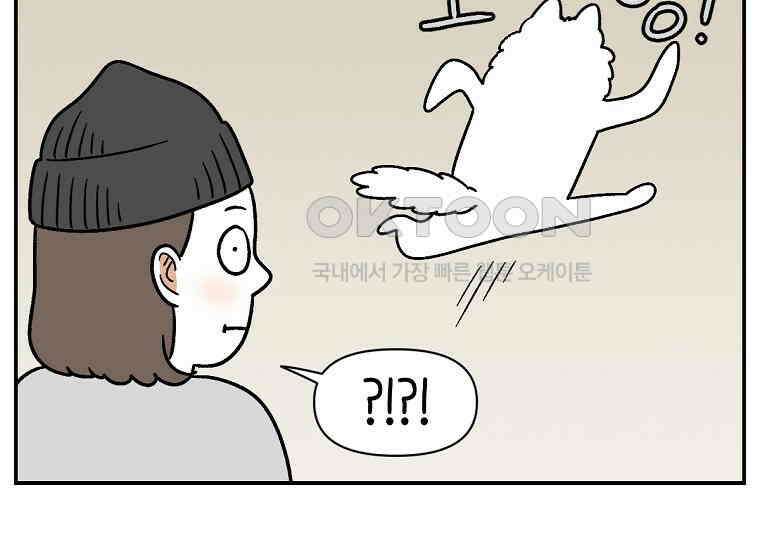 극한견주 시즌2 10화 나이트 루틴 9