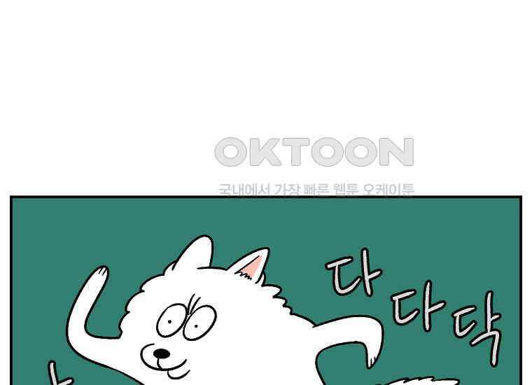 극한견주 시즌2 10화 나이트 루틴 10
