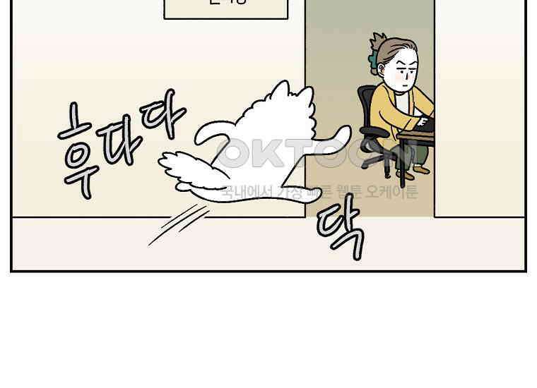 극한견주 시즌2 10화 나이트 루틴 12