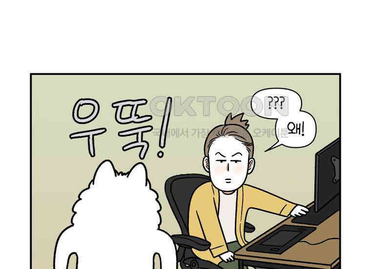 극한견주 시즌2 10화 나이트 루틴 13