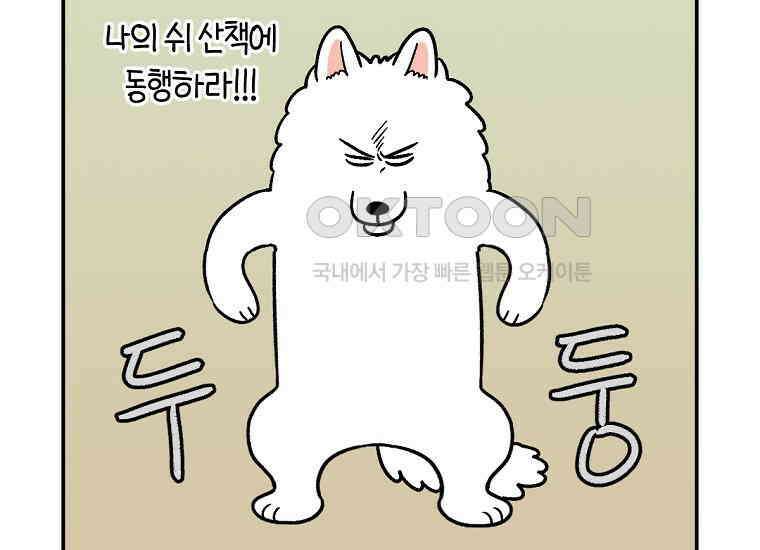 극한견주 시즌2 10화 나이트 루틴 15
