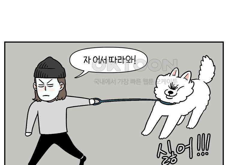 극한견주 시즌2 10화 나이트 루틴 21