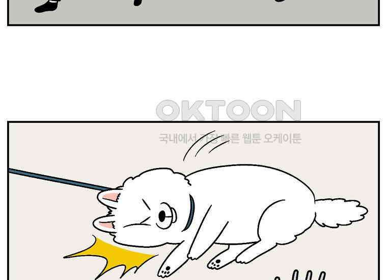 극한견주 시즌2 10화 나이트 루틴 22