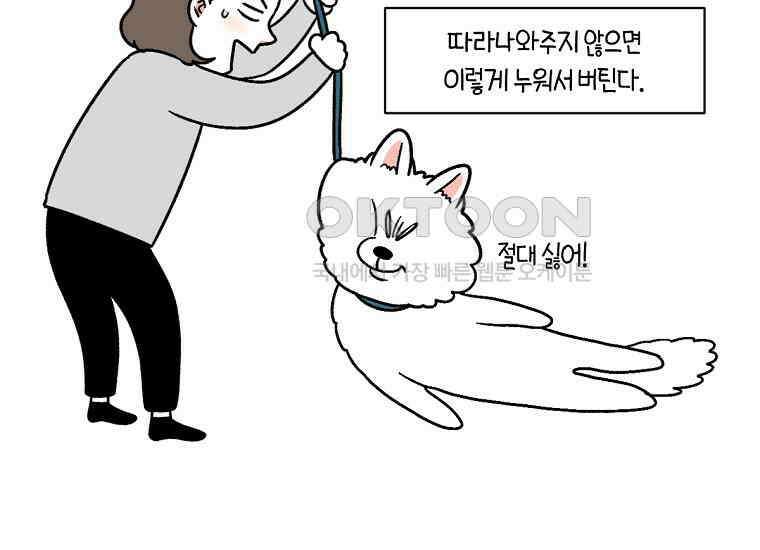극한견주 시즌2 10화 나이트 루틴 24