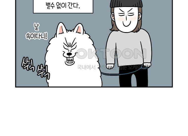 극한견주 시즌2 10화 나이트 루틴 30