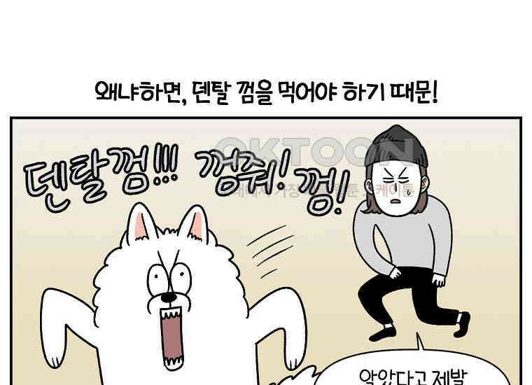 극한견주 시즌2 10화 나이트 루틴 34
