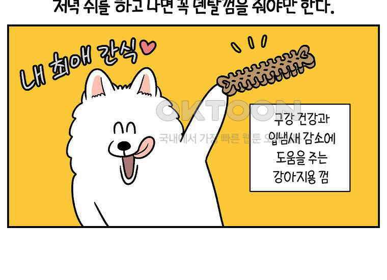 극한견주 시즌2 10화 나이트 루틴 36