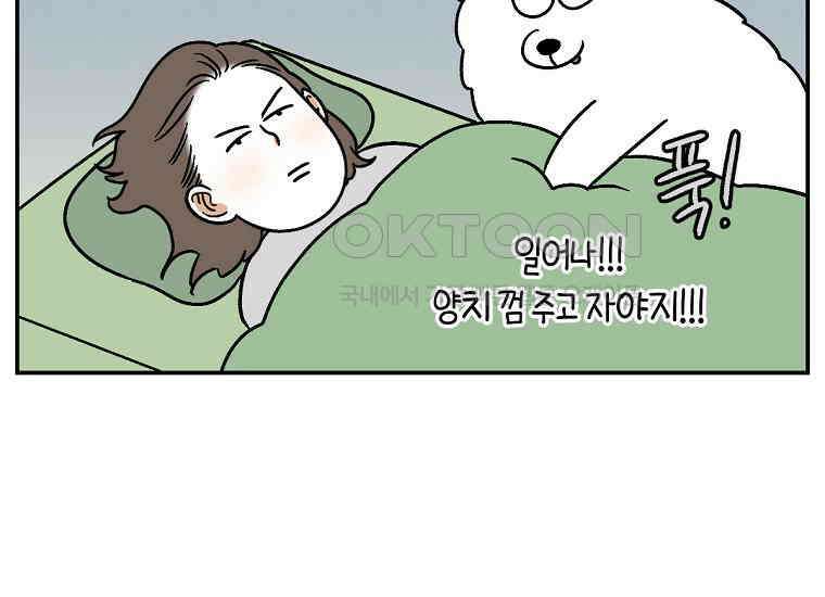 극한견주 시즌2 10화 나이트 루틴 38