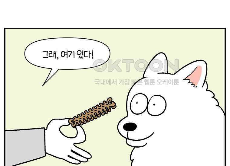 극한견주 시즌2 10화 나이트 루틴 39