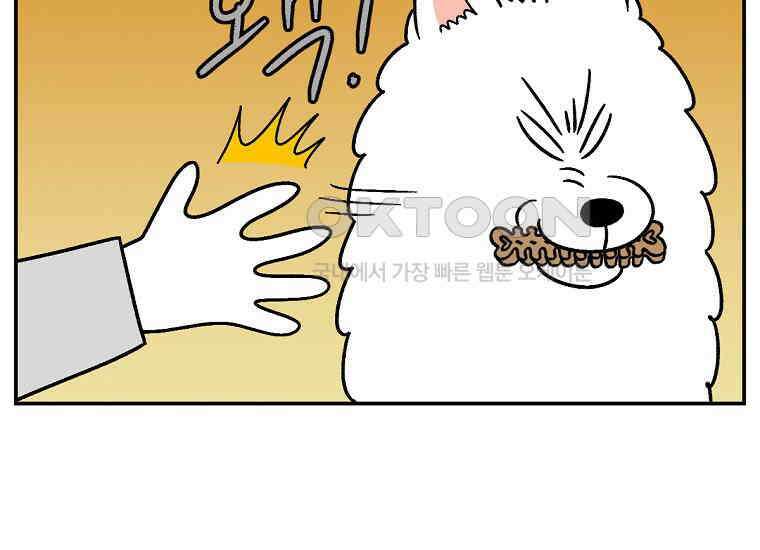 극한견주 시즌2 10화 나이트 루틴 41