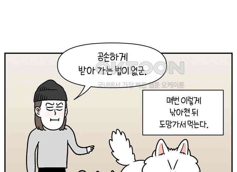극한견주 시즌2 10화 나이트 루틴 42