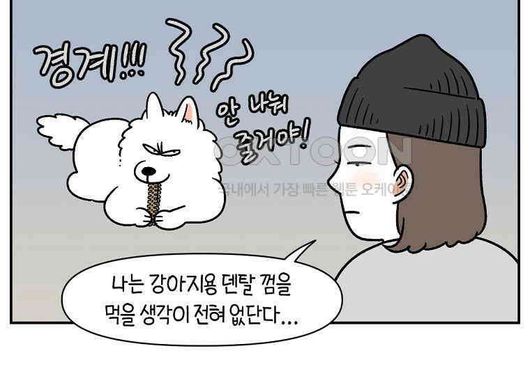 극한견주 시즌2 10화 나이트 루틴 44
