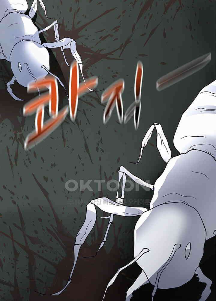 혼돈의 연단사 332 14