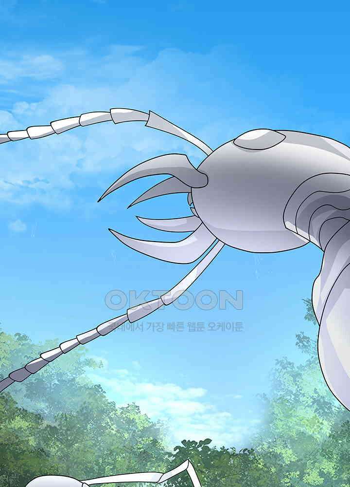 혼돈의 연단사 332 49