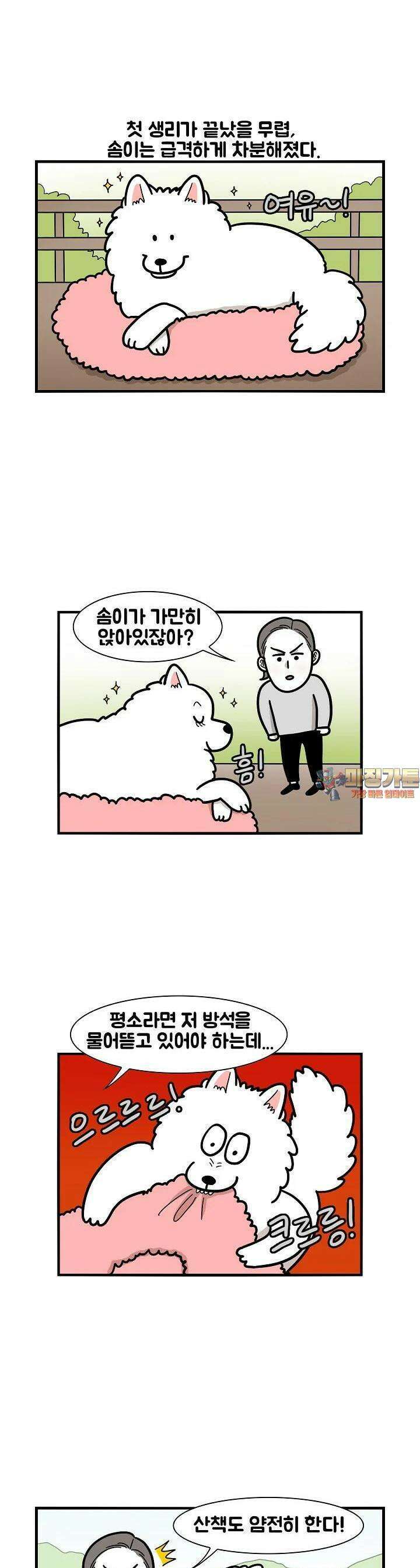 극한견주 44화 PMS 1
