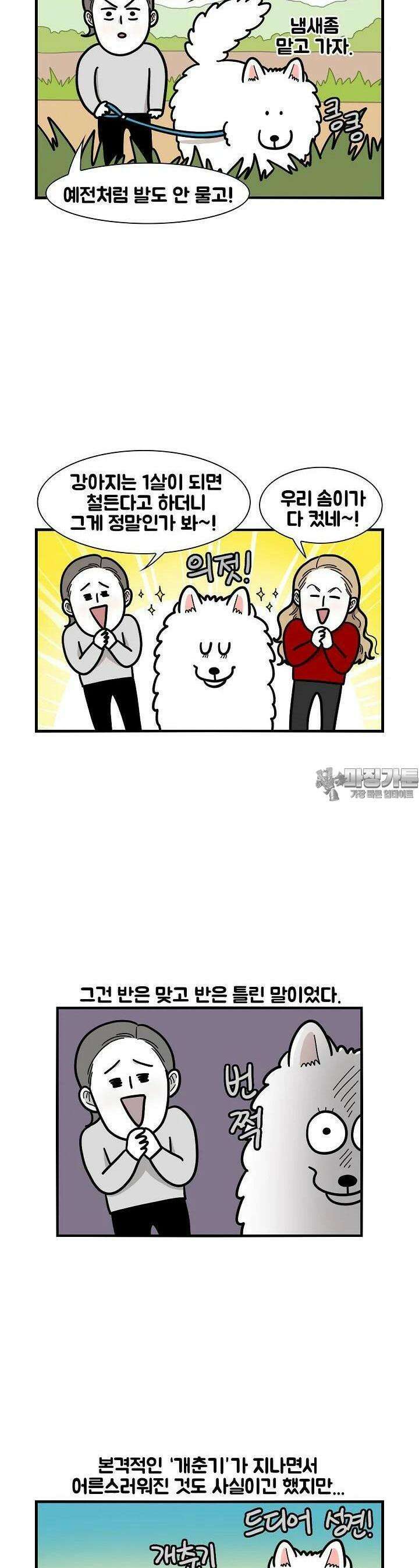 극한견주 44화 PMS 2