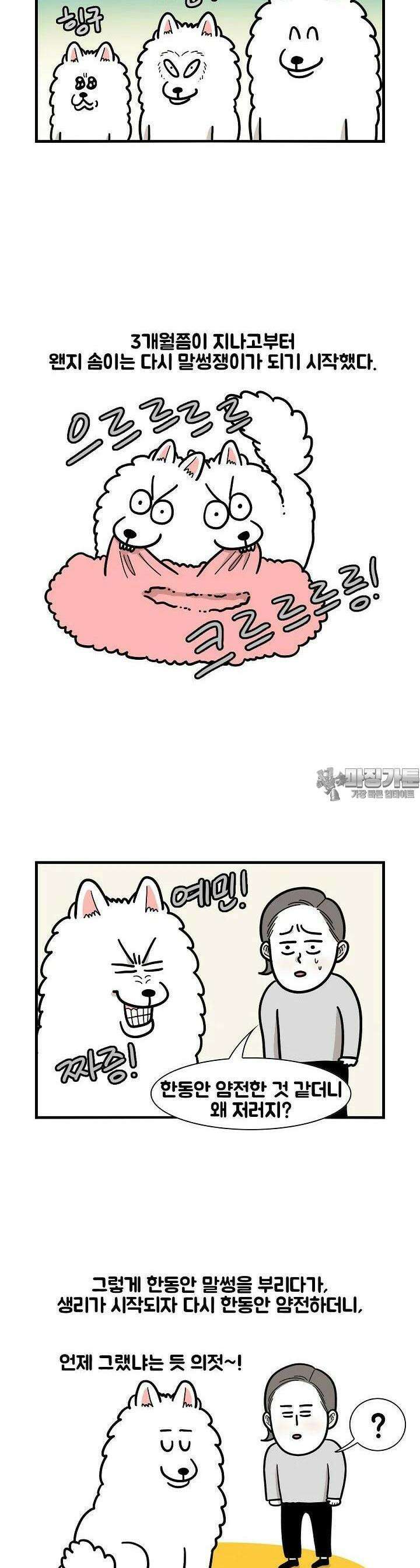 극한견주 44화 PMS 3