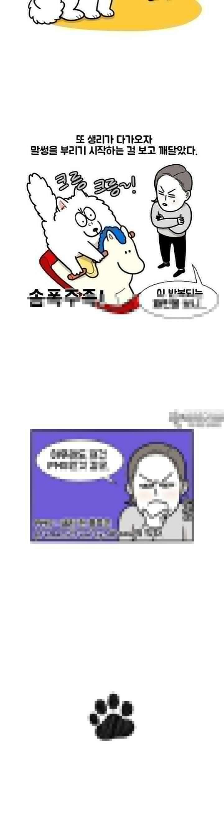 극한견주 44화 PMS 4