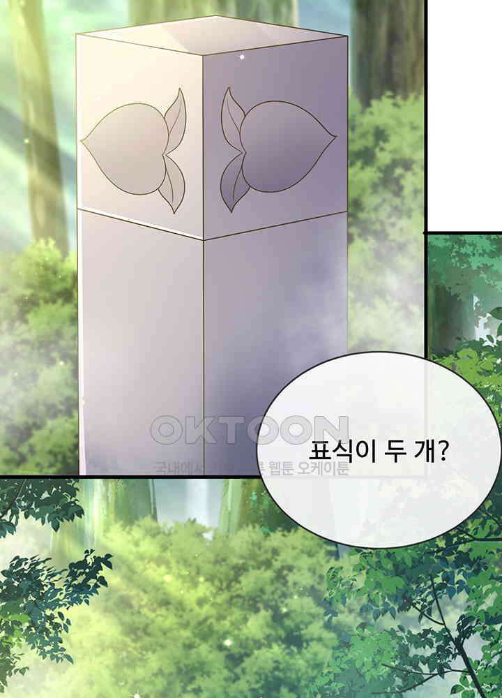 광비: 뚱보 악녀로 환생한 특수요원 237 12