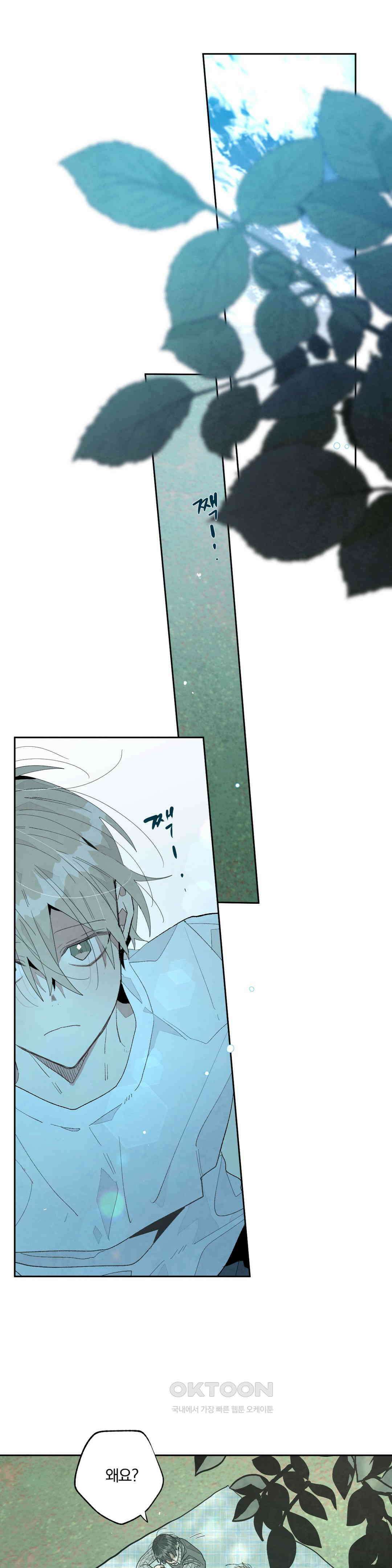 A와 B의 초상 242화 1