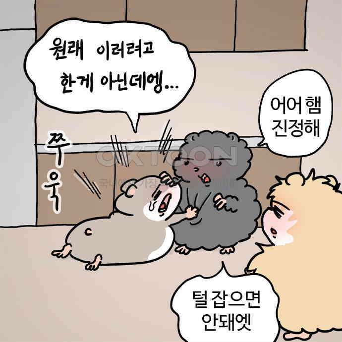 흔한햄 2부 17화 : 자기집중 3