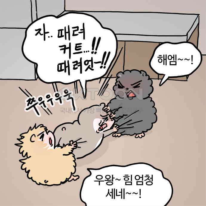 흔한햄 2부 17화 : 자기집중 4